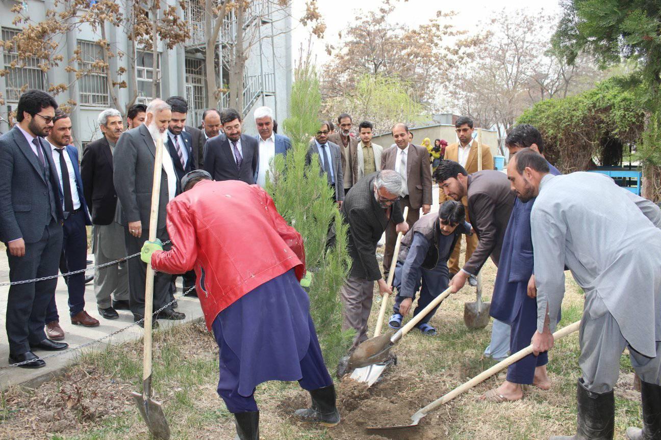 کمپاین نهال شانی در پوهنتون علوم طبی کابل ابوعلی ابن‌سینا